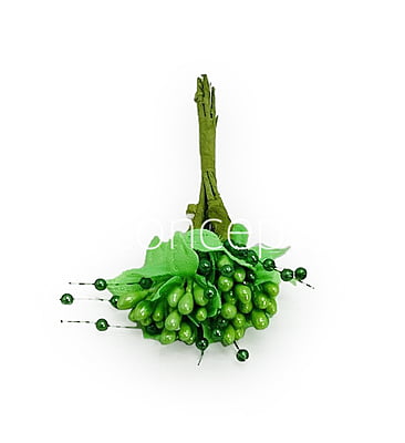 Flower Pollens with Pearls