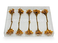 Flower Pollens with Pearls