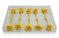 Flower Pollens with Pearls