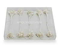 Flower Pollens with Pearls