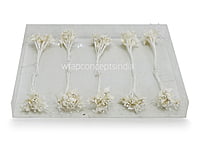 Flower Pollens with Pearls