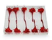 Flower Pollens with Pearls