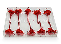 Flower Pollens with Pearls