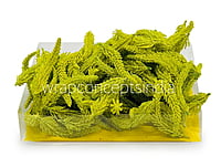 Yellow Green Fir Leaves