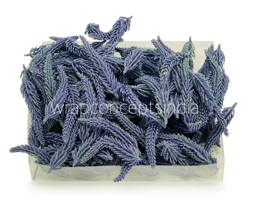 Mauve Fir Leaves