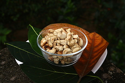 CASHEW NUTS 