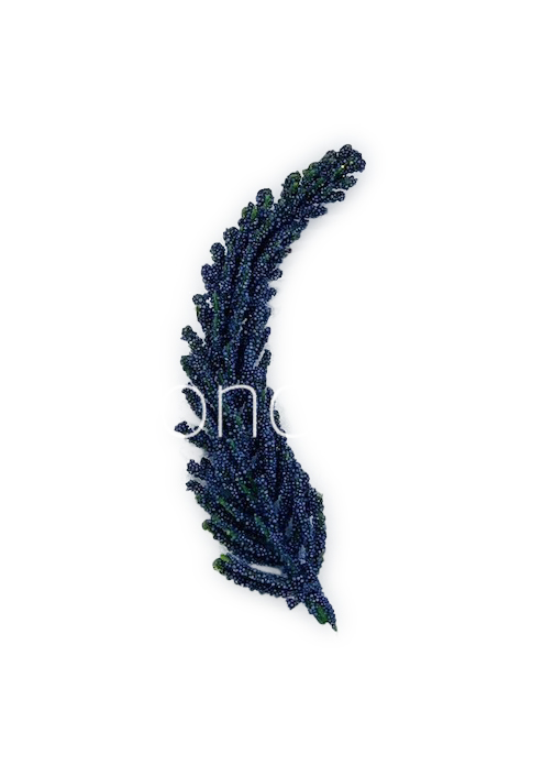Mauve Fir Leaves