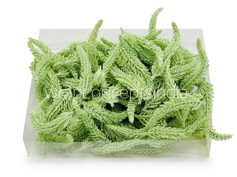 Light Green Fir Leaves