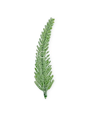 Light Green Fir Leaves