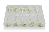 Flower Pollens with Pearls