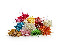 Flower Pollens with Pearls