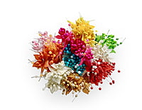 Flower Pollens with Pearls