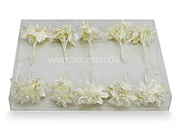 Small Flowers with Pearl & Pollen Center