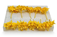 Small Flowers with Pearl & Pollen Center