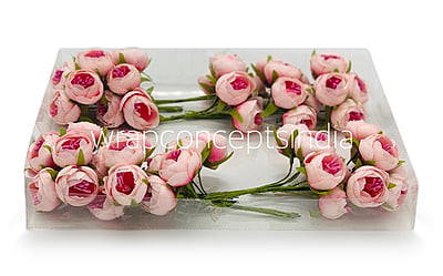 Peonies on stick - Shaded Pink