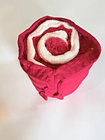 Personalized Blanket with Cover
