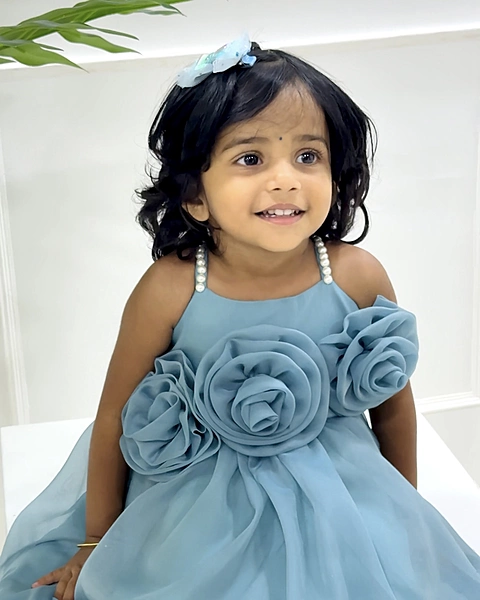 Soft Blue Organza 3D Floral Gown