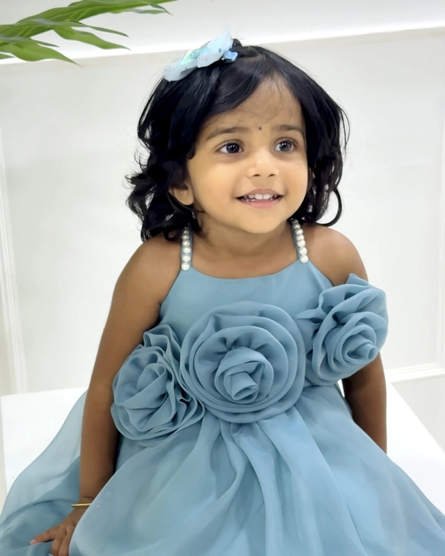 Soft Blue Organza 3D Floral Gown