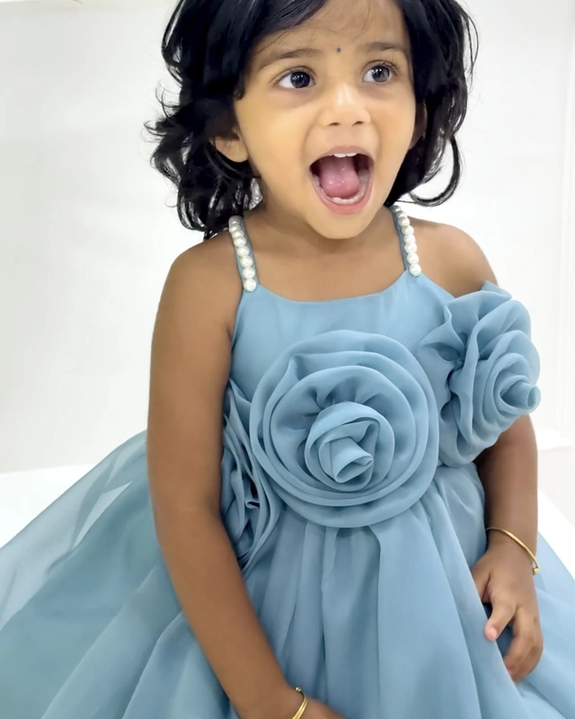 Soft Blue Organza 3D Floral Gown