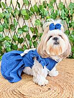 Denim Frock