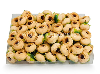 Mellon Yellow Peonieis