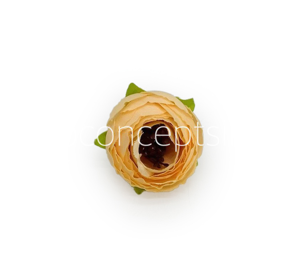 Mellon Yellow Peonieis