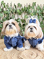 Denim Frock