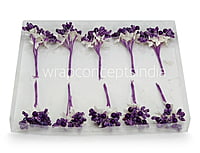 Flower Pollens with Pearl Center