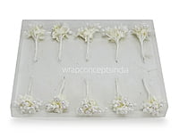 Flower Pollens with Pearl Center