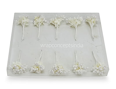 Flower Pollens with Pearl Center