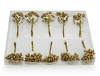 Flower Pollens with Pearl Center