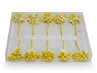 Flower Pollens with Pearl Center