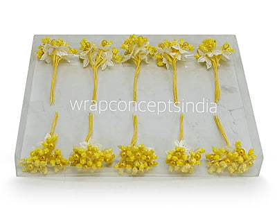 Flower Pollens with Pearl Center