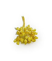 Flower Pollens with Pearl Center