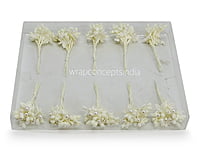 Flower Pollens with Pearl Center