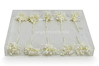 Flower Pollens with Pearl Center