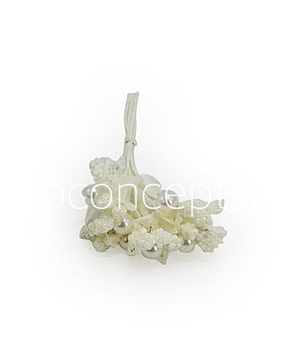 Flower Pollens with Pearl Center