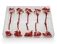 Flower Pollens with Pearl Center