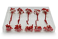 Flower Pollens with Pearl Center