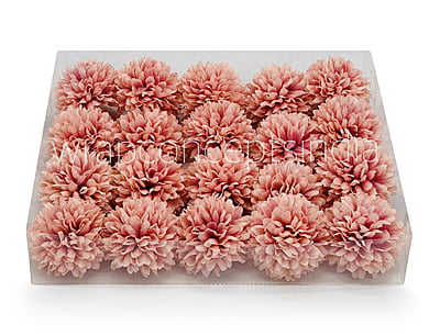 Carnation - Flamingo