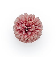 Carnation - Flamingo