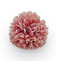 Carnation - Flamingo