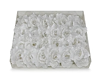 White Rose With Pearls Center