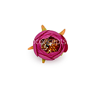 Peony Medium - Magenta