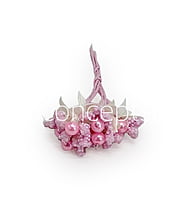 Flower Pollens with Pearl Center