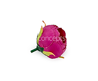 Peony Medium - Magenta