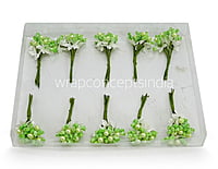 Flower Pollens with Pearl Center