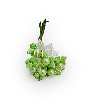 Flower Pollens with Pearl Center