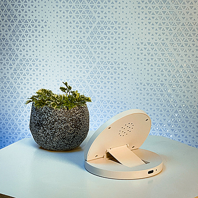 Wireless Charger "Bolt" with Mobile Stand and Bamboo Top