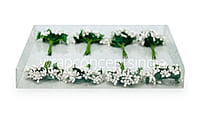 White Pollens